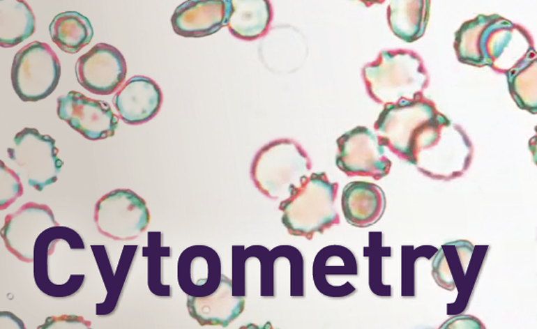 Cytometry Image