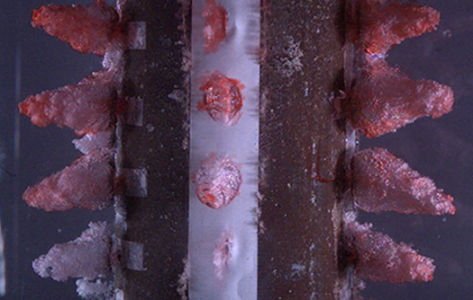 image of combustion