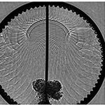 Invisible Flow Imaging
