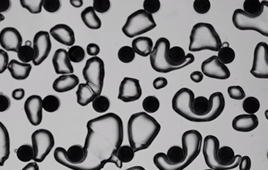 image of microfluidics