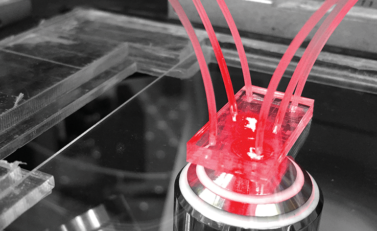 High-Speed Biochemistry