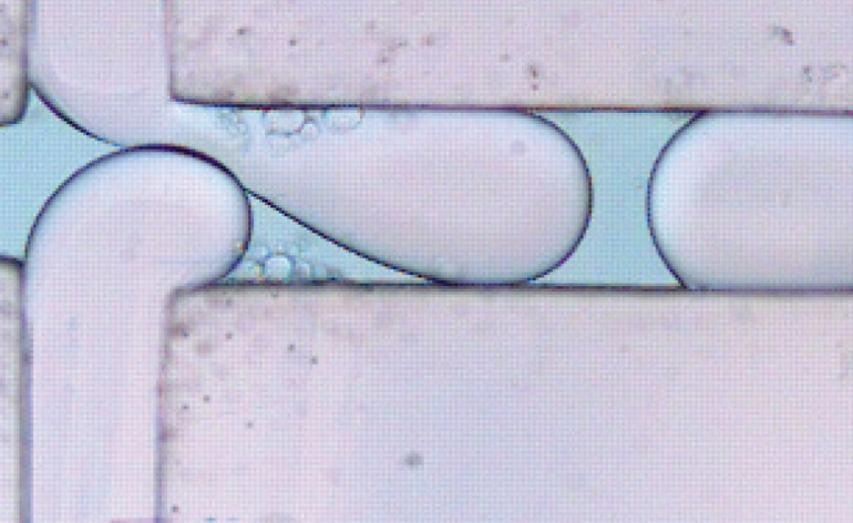 Microfluidics