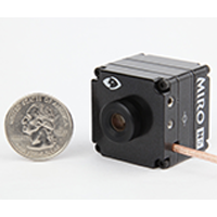 Image of N5 and quarter