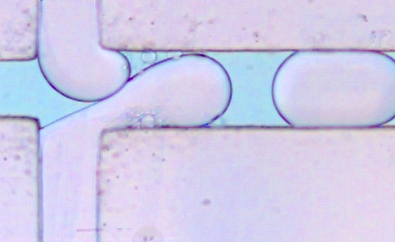 Microfluidics